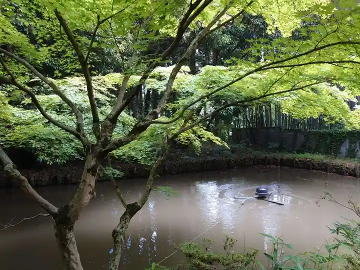 青葉神社(宮城県)