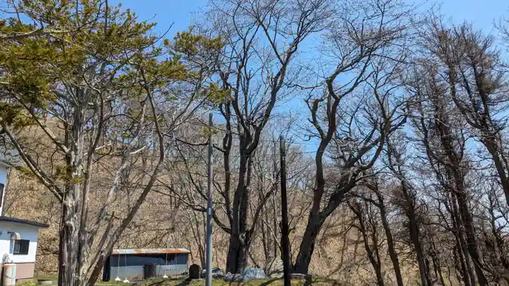 昆布森神社の自然