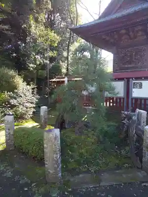 狭山八幡神社の自然