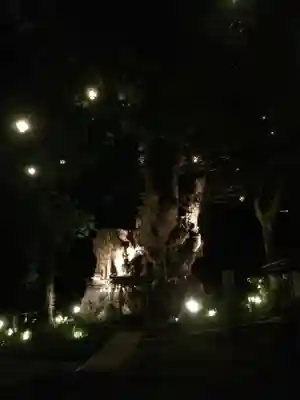 來宮神社(静岡県)