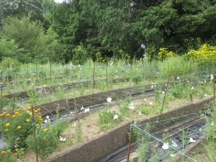 香勝寺(静岡県)