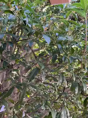 妙心寺（妙心禅寺）(京都府)