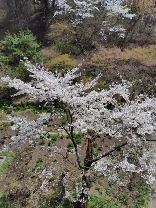 青龍山 吉祥寺(群馬県)