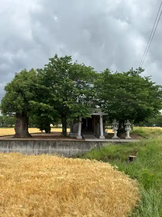 菊徳大年神社(兵庫県)
