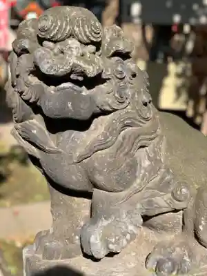 高円寺氷川神社の狛犬