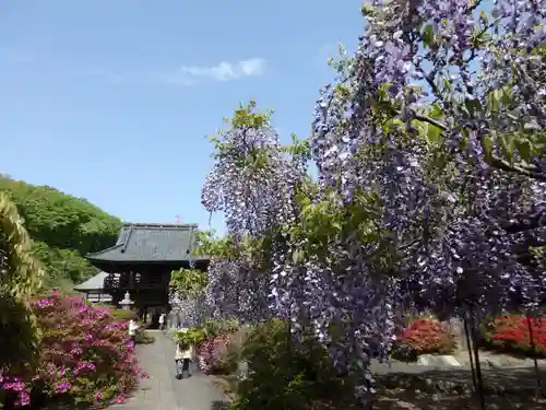 長泉寺の山門