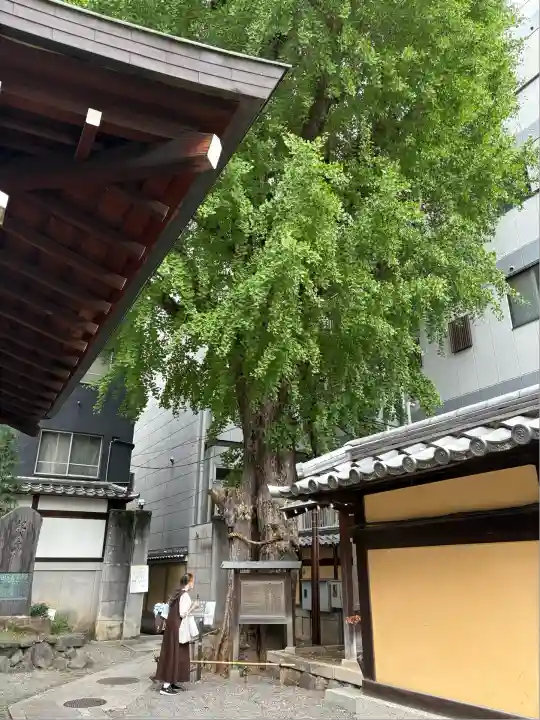 本能寺(京都府)