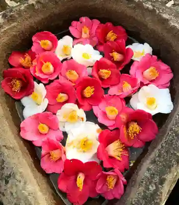 真言宗　善通寺派　薬王寺の手水舎