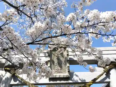 稲荷神社(福井県)