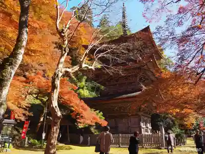 金剛院(京都府)