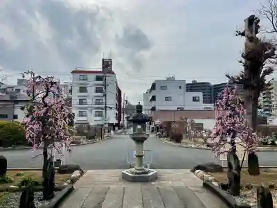 遍照院(埼玉県)