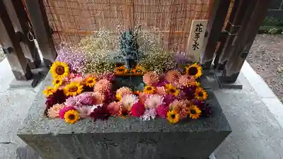札幌諏訪神社の手水舎