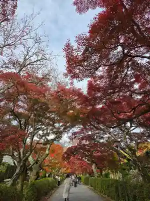 西教寺(滋賀県)