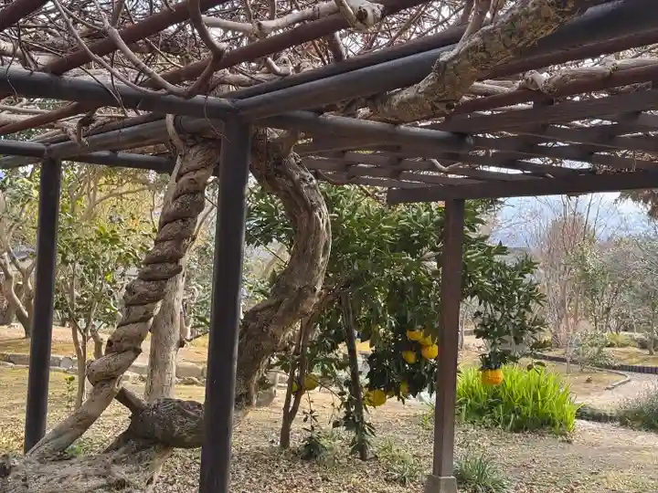 法華寺(奈良県)