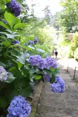 太平山神社(栃木県)