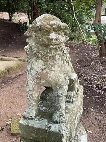 村社八幡宮の狛犬