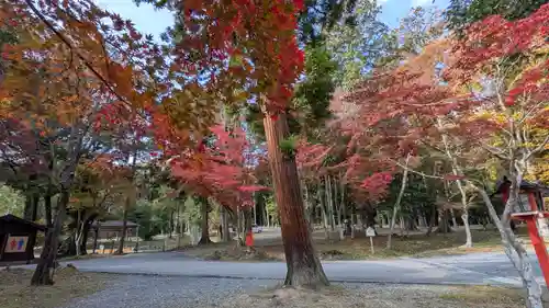 大原野神社(京都府)