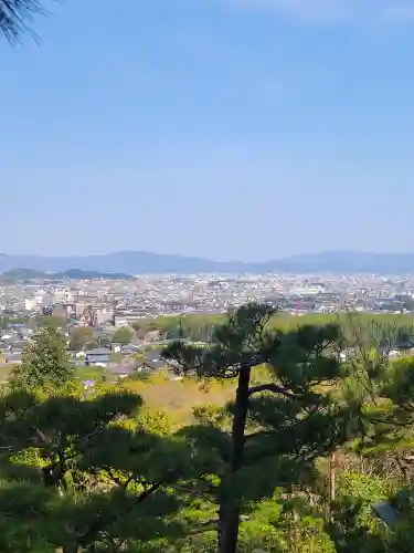 常寂光寺(京都府)