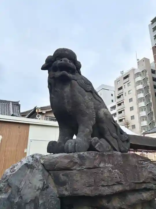 浅草神社の狛犬