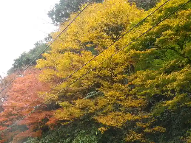 東勝寺跡の自然
