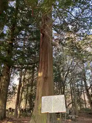 巨麻神社の自然