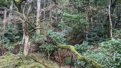 乘臺寺の庭園