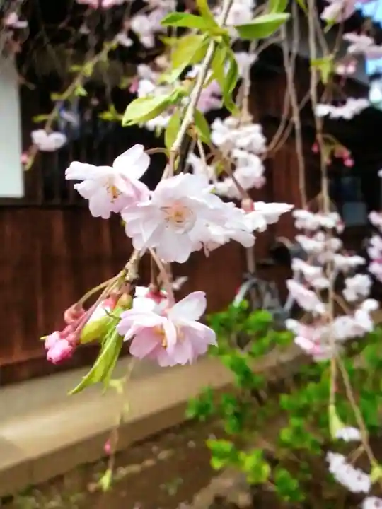 新井薬師(梅照院)(東京都)