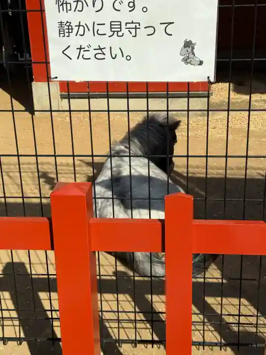 神田神社(神田明神)の{uncategorized: "未分類", other: "その他", undefined: "問題あり", building: "その他建物", grave: "お墓", sacred_gate: "鳥居", guardian: "狛犬", statue: "像", buddha: "仏像", history: "歴史", nature: "自然", garden: "庭園", animal: "動物", pagoda: "塔", temizu: "手水舎", mountain_gate: "山門・神門", sanctuary: "本殿・本堂", subordinate: "末社・摂社", art: "芸術", scenery: "景色", jizo: "地蔵", ema: "絵馬", goshuin: "御朱印", omikuji: "おみくじ", items: "授与品その他", amulet: "お守り", goshuincho: "御朱印帳", eats: "食事", festival: "お祭り", votive_dance: "神楽", shichigosan: "七五三参", wedding: "結婚式", experience: "体験その他", initially: "初詣", around: "周辺", anti_infection: "感染症対策"}