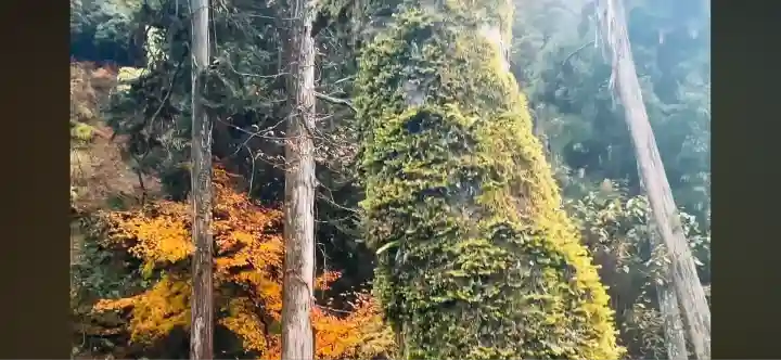 貴船神社(京都府)