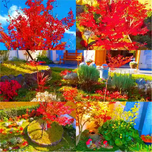 寿量山　速成寺の自然