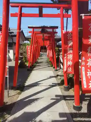 於菊稲荷神社(群馬県)
