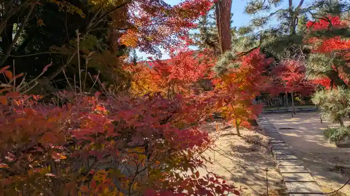 興聖寺(京都府)
