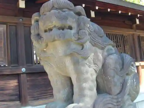 井草八幡宮の狛犬