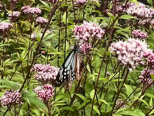 忉利天上寺(兵庫県)