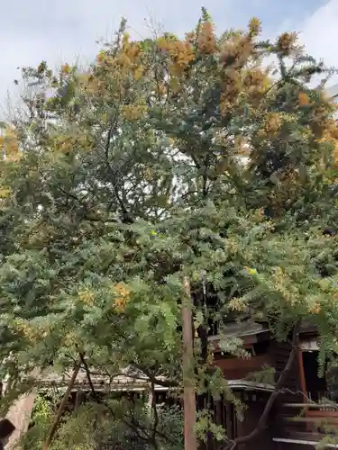 蔵前神社(東京都)