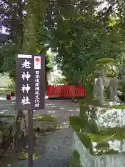 老神神社の狛犬