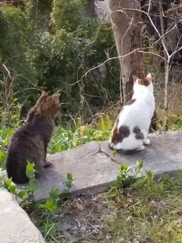 南禅寺(京都府)