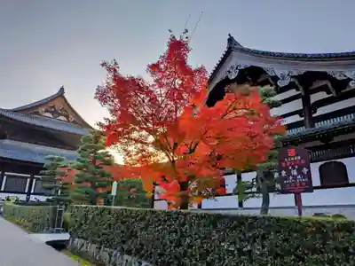 東福禅寺(東福寺)(京都府)