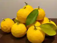 天台宗 長窪山 正覚寺(神奈川県)