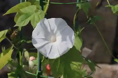 熊野福藏神社の手水舎