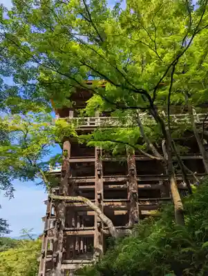 清水寺(京都府)