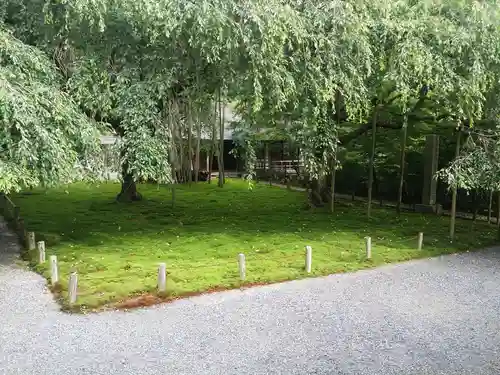 常照皇寺の自然