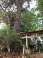 妙見神社(千葉県)