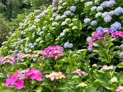 大雲寺(長野県)