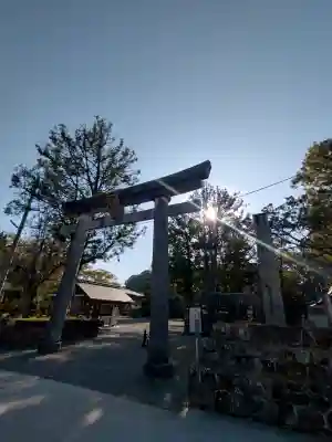 闘鶏神社の{uncategorized: "未分類", other: "その他", undefined: "問題あり", building: "その他建物", grave: "お墓", sacred_gate: "鳥居", guardian: "狛犬", statue: "像", buddha: "仏像", history: "歴史", nature: "自然", garden: "庭園", animal: "動物", pagoda: "塔", temizu: "手水舎", mountain_gate: "山門・神門", sanctuary: "本殿・本堂", subordinate: "末社・摂社", art: "芸術", scenery: "景色", jizo: "地蔵", ema: "絵馬", goshuin: "御朱印", omikuji: "おみくじ", items: "授与品その他", amulet: "お守り", goshuincho: "御朱印帳", eats: "食事", festival: "お祭り", votive_dance: "神楽", shichigosan: "七五三参", wedding: "結婚式", experience: "体験その他", initially: "初詣", around: "周辺", anti_infection: "感染症対策"}