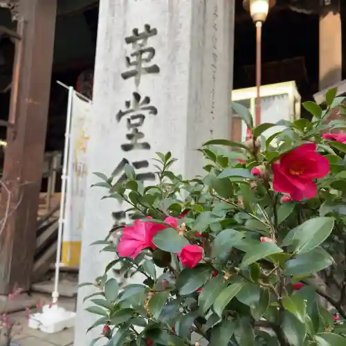 行願寺（革堂）の{uncategorized: "未分類", other: "その他", undefined: "問題あり", building: "その他建物", grave: "お墓", sacred_gate: "鳥居", guardian: "狛犬", statue: "像", buddha: "仏像", history: "歴史", nature: "自然", garden: "庭園", animal: "動物", pagoda: "塔", temizu: "手水舎", mountain_gate: "山門・神門", sanctuary: "本殿・本堂", subordinate: "末社・摂社", art: "芸術", scenery: "景色", jizo: "地蔵", ema: "絵馬", goshuin: "御朱印", omikuji: "おみくじ", items: "授与品その他", amulet: "お守り", goshuincho: "御朱印帳", eats: "食事", festival: "お祭り", votive_dance: "神楽", shichigosan: "七五三参", wedding: "結婚式", experience: "体験その他", initially: "初詣", around: "周辺", anti_infection: "感染症対策"}