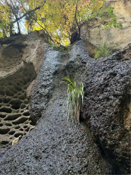 山寺千手院(山形県)