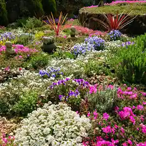 寿量山 速成寺の庭園(2020年04月14日(火) 15時59分12秒投稿)