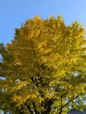 報恩寺(東京都)