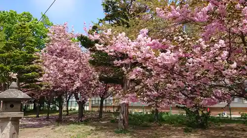 江南神社の自然